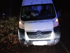 Столкновение фургона с рухнувшим деревом произошло в Воронежской области