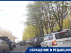 Воронежцы непослушно отправились на Птичий рынок вместо самоизоляции 