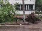 Названо число пострадавших от недавнего ураганного шторма в Воронеже