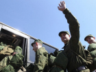 В весенний призыв в армию из Воронежа было рекрутировано 242 человека