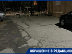  «На меня напала огромная стая собак»: жительница Воронежа  сообщила о своре, которая держит в страхе дом