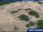 Торчащая из земли арматура портит главную достопримечательность в Воронеже 
