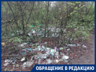 Грязное отношение к популярному пляжу в Воронеже показали на фото