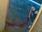Смертельное ранение ножом попало на видео в Воронежской области 