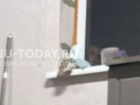 Лицо в окне напугало жительницу микрорайона в Воронежской области