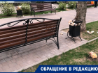 В мусорку из отходов «Макдоналдс» превратился центр Воронежа 