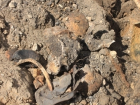 На стройке в Воронеже нашли человеческие останки 