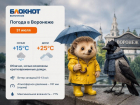 Грозы сменяются теплотой солнца: погода в Воронеже на три дня