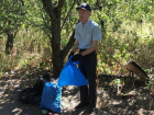 Пенсионер в одиночку убрал часть яблоневого сада в Воронеже