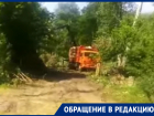  Повальную вырубку леса сняли на видео в Воронеже