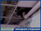 Дети получают мокрые знания из-за прохудившейся крыши в Воронеже