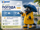 Лето ушло за хлебом: прогноз на ближайшие дни в Воронеже 
