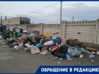 Огромная помойка стала местом притяжения бродячих псов в Воронеже