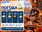 Холодно, но солнечно: прогноз погоды в Воронеже