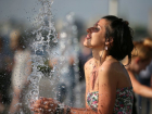 Синоптики рассказали, сколько продлится в Воронеже аномальная жара