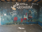 Придаченская дамба – живописное воронежское место, забитое до отказа мусором