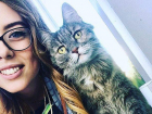 Кошка ведет пары у воронежских студентов и публикует фото в Instagram