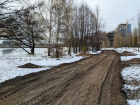 «Трассу здоровья» пообещали в обновленном парке «Дельфин» в Воронеже