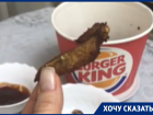 Burger King пристыдили за никчемное крыло с пером в Воронеже 