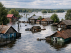 Где рискованно покупать землю, рассказали в воронежском минприроды