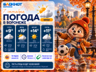 Бабье лето на носу: прогноз погоды в Воронеже