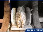 Дом с совой: как спрятали оккультные символы в жилом здании в центре Воронежа