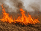 Почти 500 жителей Воронежской области оштрафовали за поджог травы