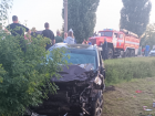 Вечернее ДТП закончилось госпитализацией двух мужчин в Воронежской области