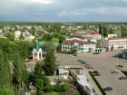 Под Воронежем 11-летняя девочка чудом увернулась от летевшего в нее автомобиля