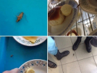 Обед среди мышей и тараканов: в каких условиях приходится питаться курсантам Воронежского института МЧС
