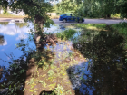 Новое водохранилище появилось на улице Менделеева в Воронеже