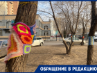 Деревья в бабушкином стиле нарядили в Воронеже 