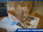 Воронежцу перестали приходить счета за коммунальные услуги