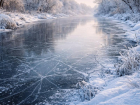 Девятилетний ребенок погиб, провалившись под лед в Воронежской области 