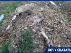 «Ноги, роги и кишки» показал воронежец прокурору Богучарского района