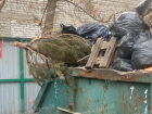 Зима близко: воронежцы заметили у мусорки запоздалую елку