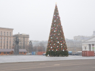 Новогодняя ёлка в Воронеже уже наряжена и сияет на площади (ФОТО)