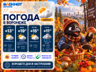 Осень радует: прогноз погоды в Воронеже