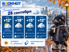 Холода приближаются: прогноз погоды в Воронеже