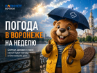 Солнце, грозы и +32: что приготовила погода воронежцам на грядущей неделе
