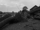 Ущерб на сотни миллионов рублей наносил ураган 1993 года в Воронежской области