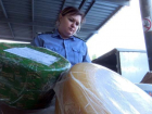 300 кг элитного сыра уничтожили под Воронежем