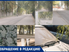 Удушающее испытание: во что превратилась оживленная улица в Воронеже 