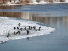 На почти растаявшую реку высыпали рыбаки-экстремалы в Воронежской области