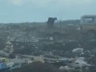 Экологический апокалипсис сняли на видео в Воронежской области
