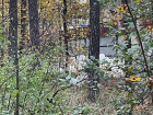 «В лесу творится кошмар»: гору пластика обнаружили в Воронежской нагорной дубраве