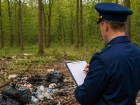 Воронежские прокуроры погуляли по Вековой Дубраве и встретились с неладным