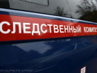 Тело новорожденного ребенка нашли на мусорке под Воронежем