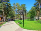 Парк Алые паруса расширится за счет пляжа на Воронежском водохранилище