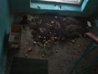 В помойную яму и наркопритон превратили подъезд дома на Машмете в Воронеже